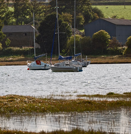 Boats sitting in the Estuary at High Tide